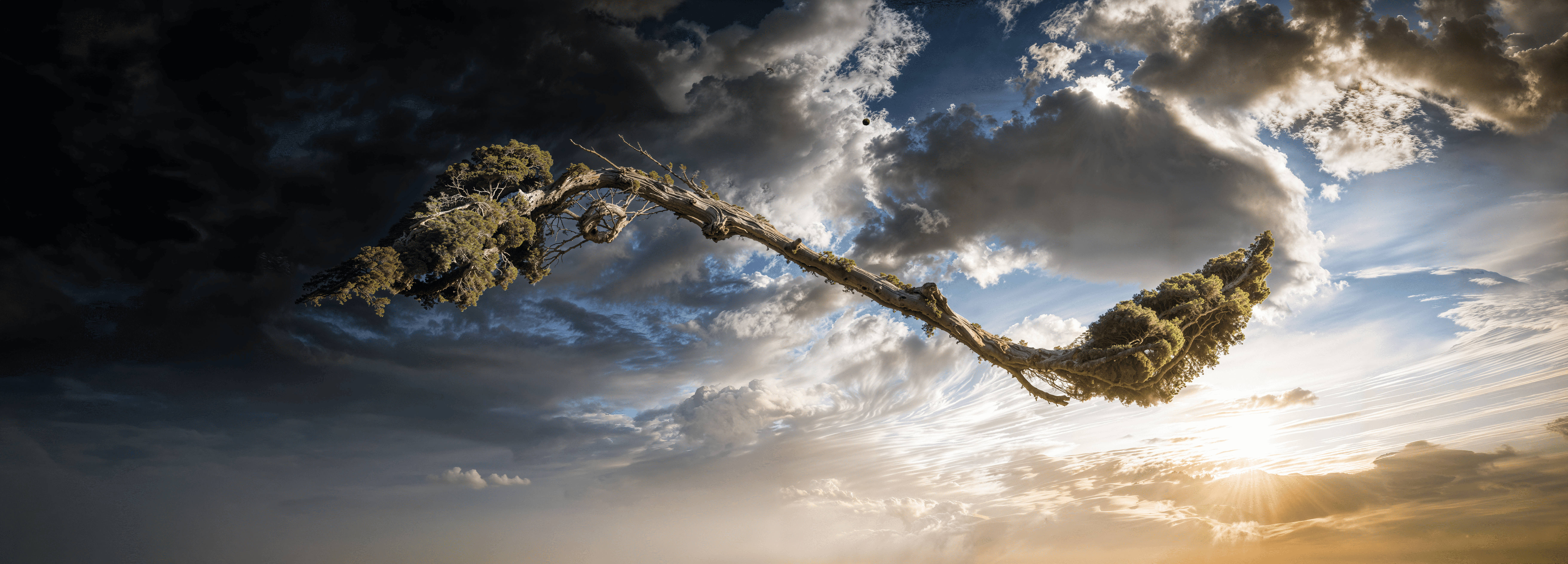 The Integral Tree — Free Fall Saga