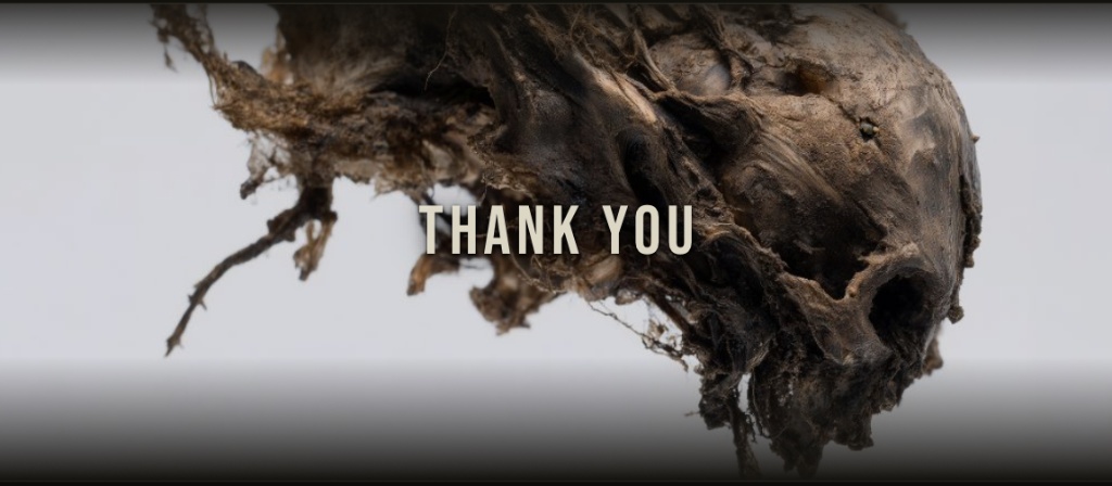 Free Fall Saga — Thank You